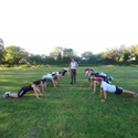 Boot Camp Training