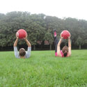 Free Exercise Taster